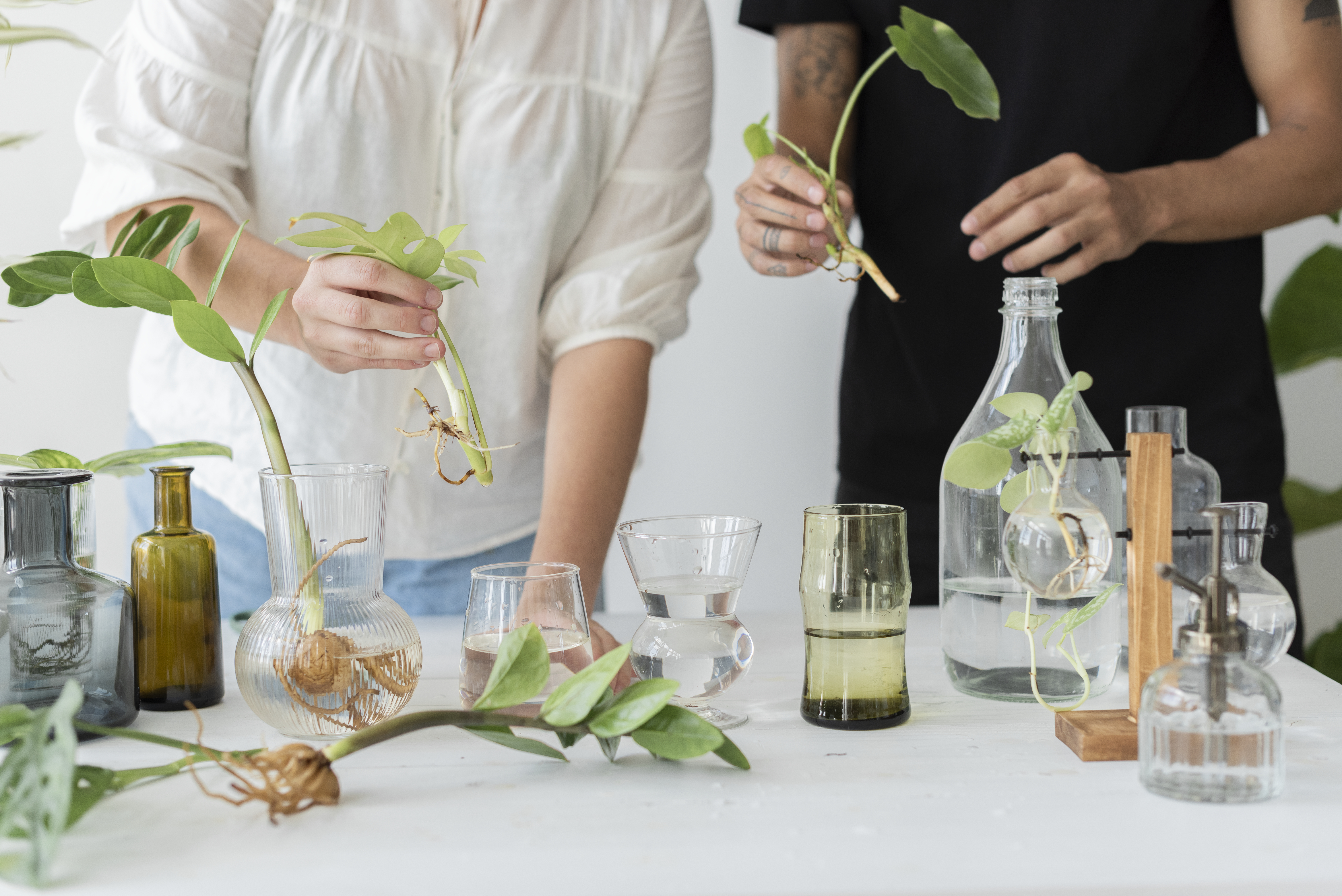 Herbal Center of Excellence